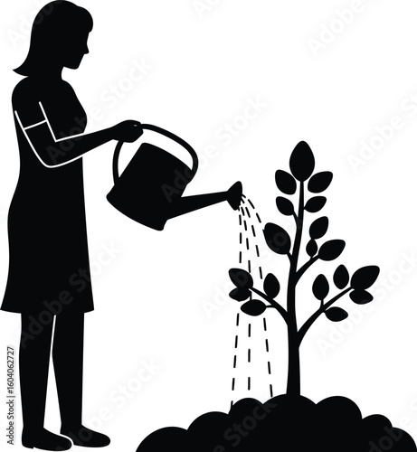 Silhouette of Woman Watering a Newly Planted Tree with a Watering Can