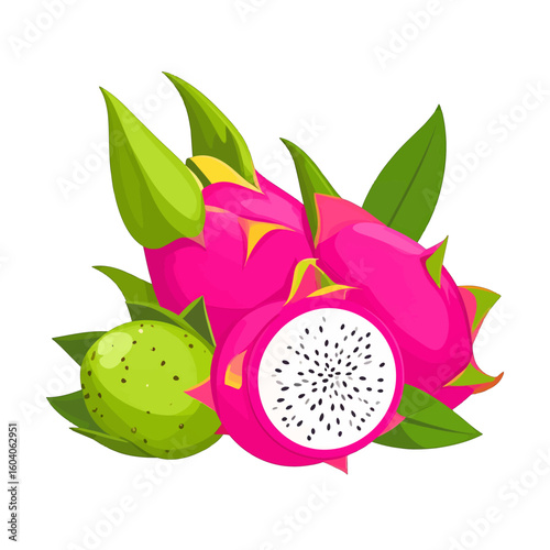 Exotic pitaya fruit illustration with whole, sliced, and unripe fruits with green leaves.