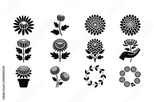 Black chrysanthemum floral motifs and wreath designs flower bloom