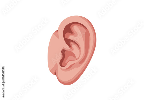 Depicts a pink cartoonstyle human ear detailed with contours and shading