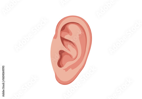 Illustrated ear in hues of pink and peach against a plain white background