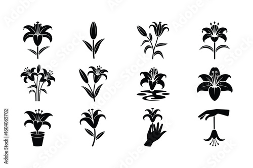 Black lily silhouettes with stems leaves and buds flower white