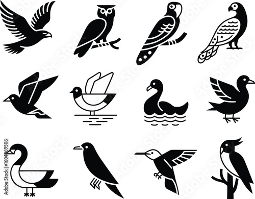 Collection of twelve stylized black and white bird illustrations in silhouette
