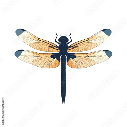 Colorful Dragonfly Illustration