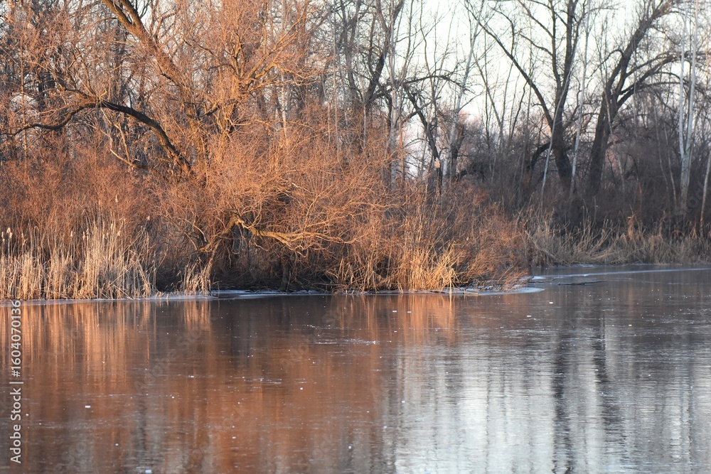 Obraz premium Frosty morning on the frozen Dnieper river with reeds and trees