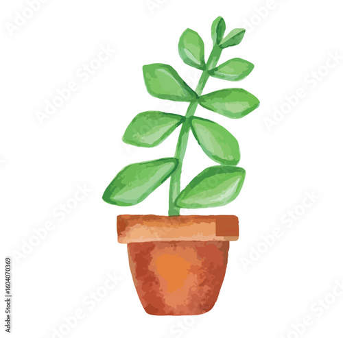 Watercolor set of home plants in flower pots. Hand drawn watercolor for banner, print, home or garden decoration