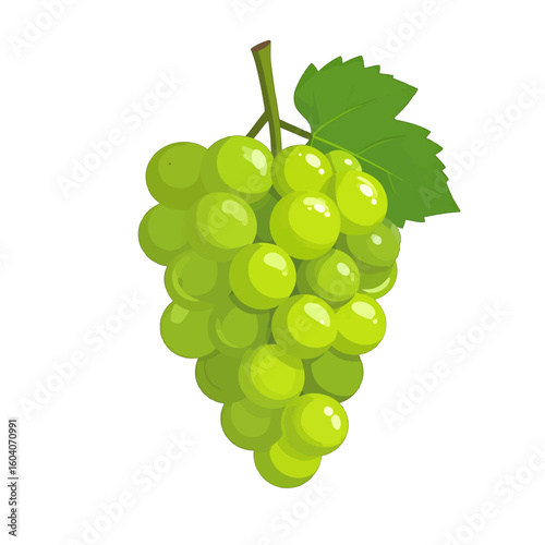 Vibrant cartoon bunch of shiny green grapes with a single leaf and stem.