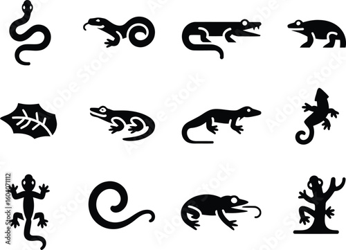 Collection of black reptile silhouettes on white background