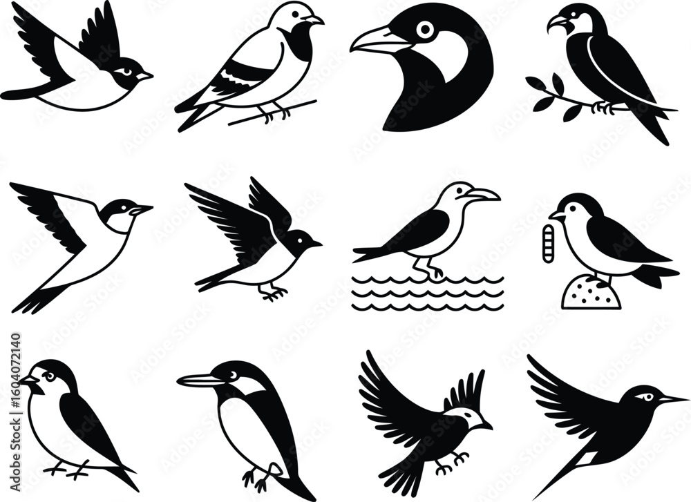 Fototapeta premium Collection of various bird illustrations in black and white line art style