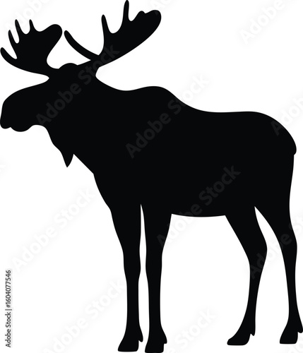 a photo of a moose, realistic, detailed, high quality, 8k resolution, photorealistic
