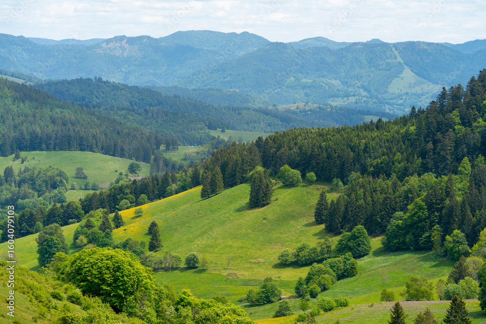 Obraz premium Around Black Forest Belchen