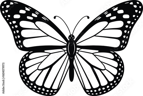 Monarch butterfly wing pattern insect wings