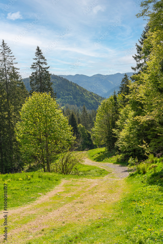 Obraz premium Around Black Forest Belchen