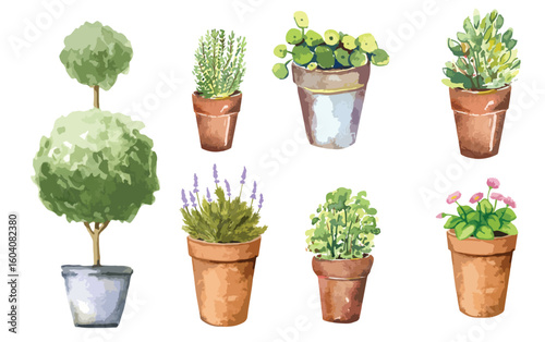 Watercolor set of home plants in flower pots. Hand drawn watercolor for banner, print, home or garden decoration