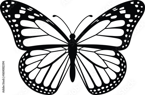 Black and white monarch butterfly wings insect