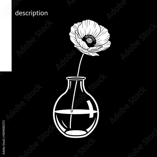 Elegant White Poppy Flower in a Glass Vase Minimalist Black and White Illustration for Print and Digital Design