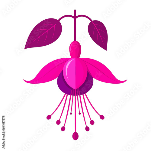 Elegant stylized fuchsia flower with magenta petals and purple leaves in a flat vector design.