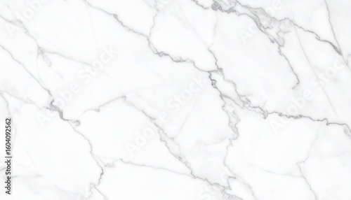 White marble with light gray veining in an intricate, organic layout on a polished surface