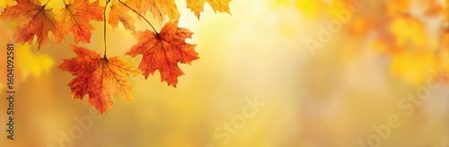 Vibrant orange maple leaves against a soft yellow bokeh background, creating an autumnal, serene, and visually appealing scene for fall themes, nature designs, and seasonal projects.