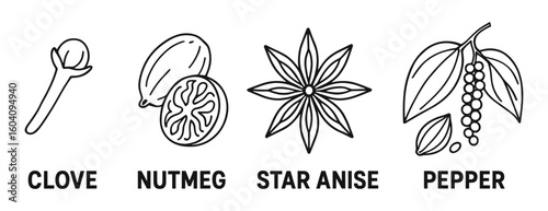 Line art drawing of clove, nutmeg, star anise and pepper spices in isolated group.