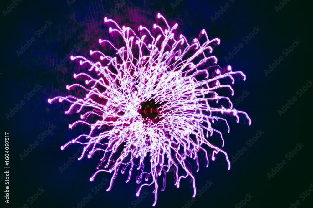 Obraz premium Vibrant colors explode across the night sky in a dazzling light display