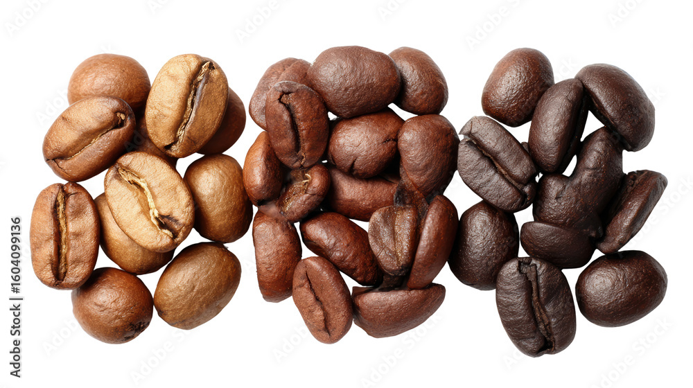 Obraz premium Variety of roasted coffee beans displayed in a visual contrast, isolated on a white background.