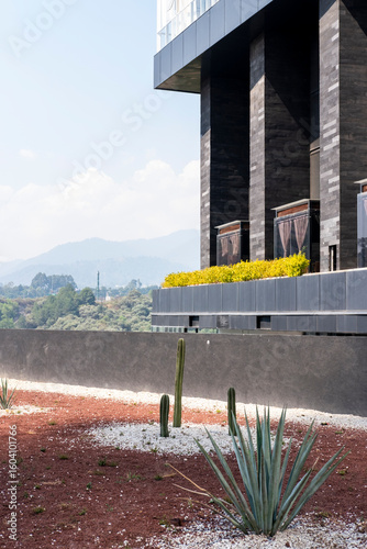 Contemporary architecture over red volcanic soil with agaves in Ciudad de Mexico, composition ideal for themes of resilience, design contrast, ecology and desert landscaping