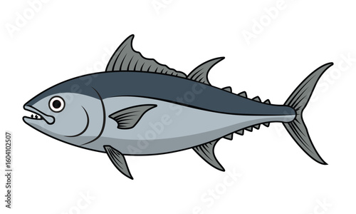 A detailed illustration of a tuna fish, perfect for showcasing marine life, fishing, and seafood.