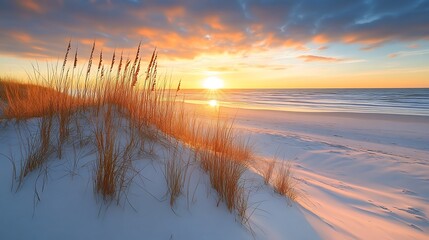 Keuken achterwand Strand zonsondergang Zonsopkomst duinen helmgras rustig strand  © BADAL