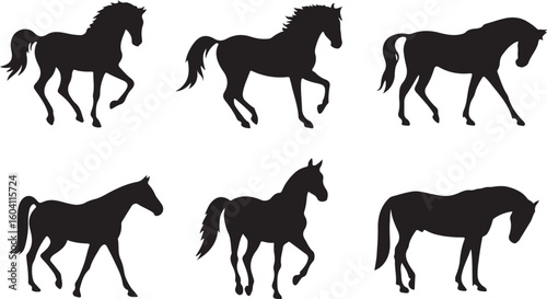 Black horse silhouettes in various poses white animal