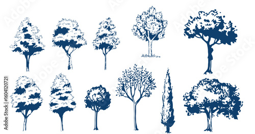 Vector drawing set of trees in engraving style. vintage tree illustration, black and white sketch