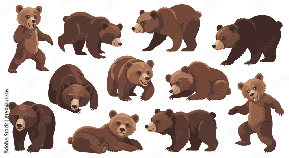 Fototapeta premium Brown bears in various poses and actions on white background 