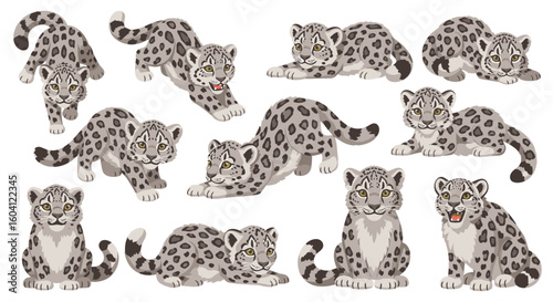 Snow leopards in various poses on a white background  