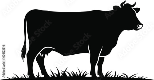 Black Cow Silhouette Standing on Grass with Horns and Udder