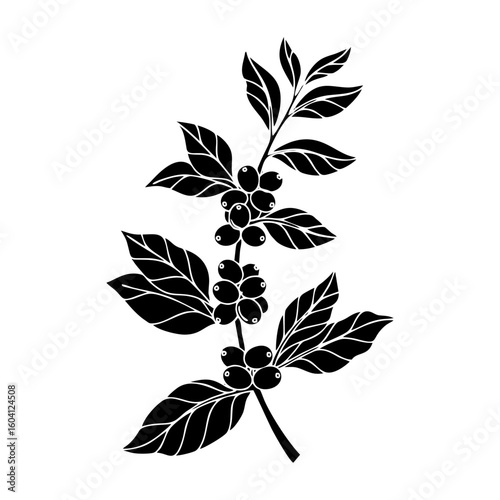 Stylized Black and White Coffee Plant Branch with Berries