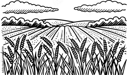 Wheat field landscape illustration black and white rural farmland scene with crops, sky, rolling hills and clouds