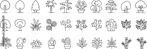 A sat of Collection of stylized botanical and floral line art icons