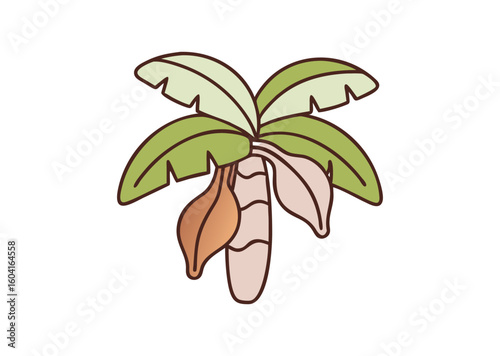 Banana tree vector illustration