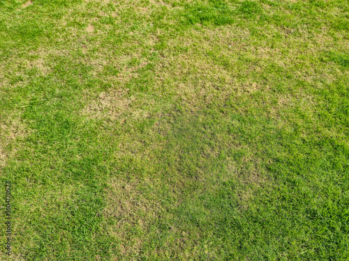 Photography Aerial view of a grassy lawn with patches of brown and green grass, showcasing lawn maintenance challenges