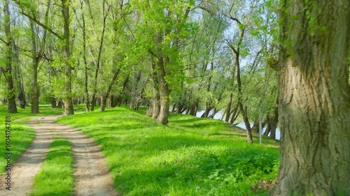 Walking through the forest and along the paths, the beautiful spring landscape with its green grass and trees creates a stunning natural scene.

