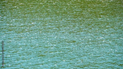 The surface of the water in a lake or river, with its bright reflections of the sun as a background.
