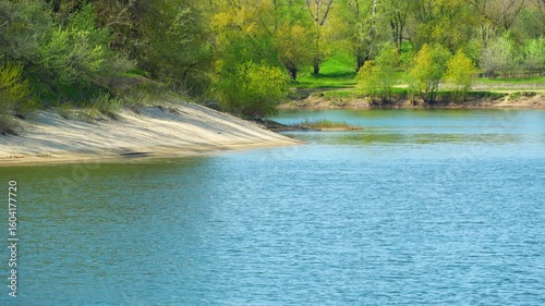 A beautiful spring landscape with a forest and river view. Green grass and trees create a beautiful natural setting
