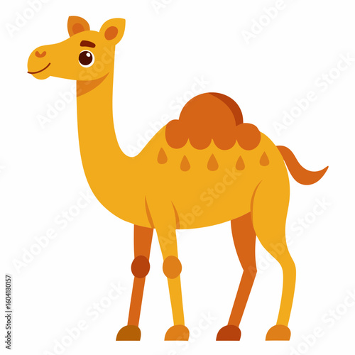 Cute camel isolate 