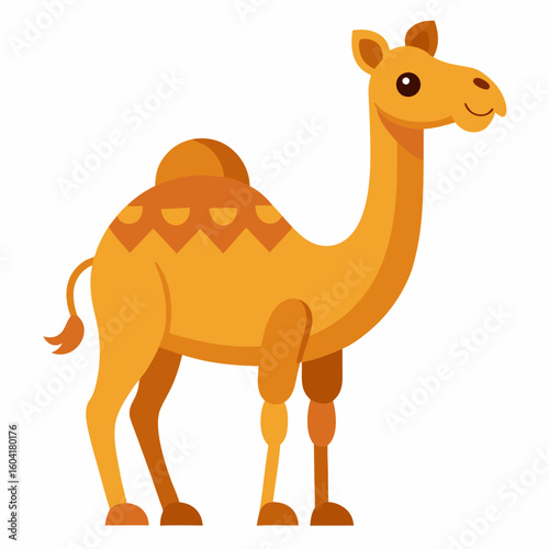 Cute camel isolate 