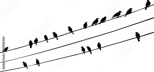 Black Bird Silhouettes Perched on Wires Against a White Background, Minimalist and Clean