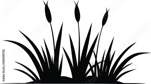 Black Silhouette of Cattails and Grass Blades Against a White Background Landscape Design