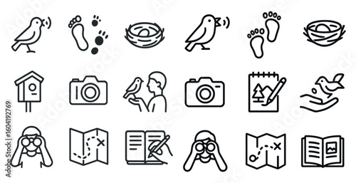 Birdwatching linear icons set – outline, nature, wildlife observation symbols