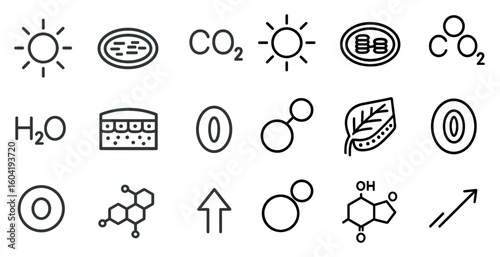 Sustainability and environmental outline icons set – eco, green, nature symbols