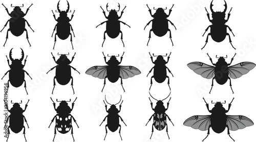Cad drawing flat vector illustration of beetles and insects, bug silhouette icon set, entomology clipart, black insect graphic collection.
