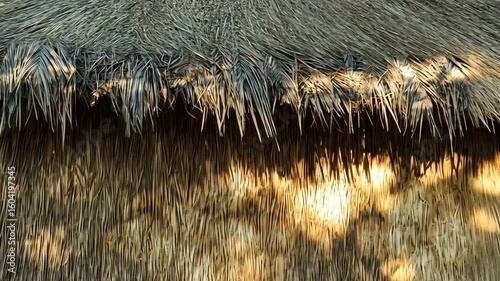 Thatched Roof with Shadows, creating a warm and natural aesthetic video element